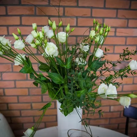 Malta Comfort Wes Quality *