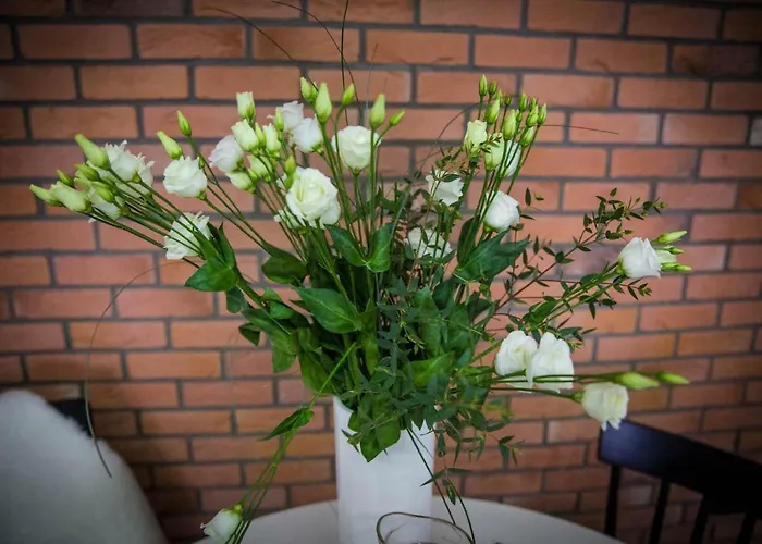 Malta Comfort Wes Quality *